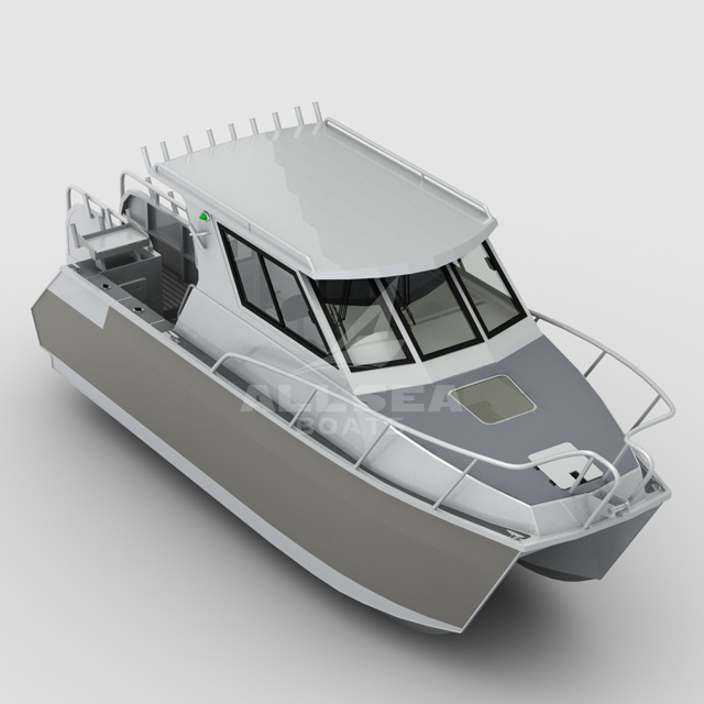 aquasport catamaran boats