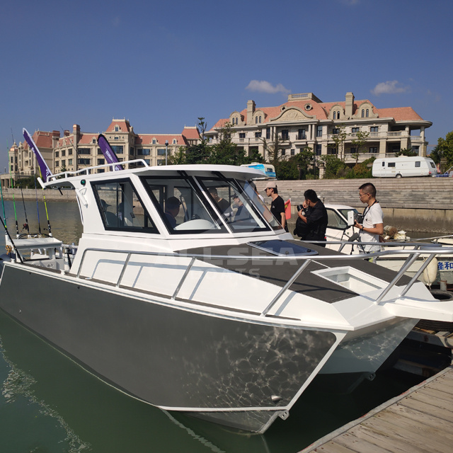 sport catamaran yacht
