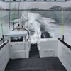 7.3m Catamaran Water Sport Offshore Cruising Boat