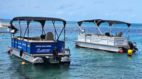  Martinique 