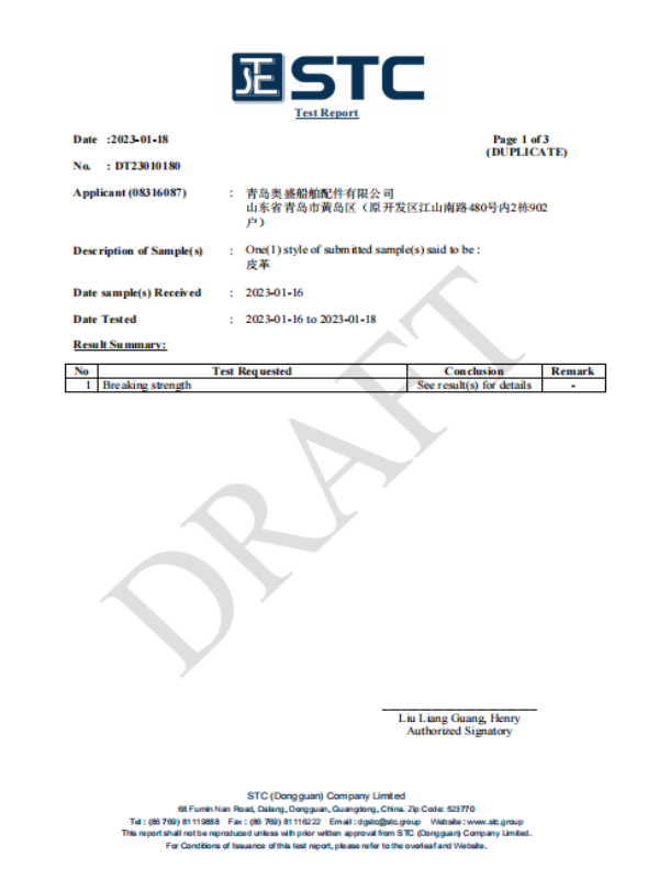 Leather Breaking Strength Test Report DT23010180